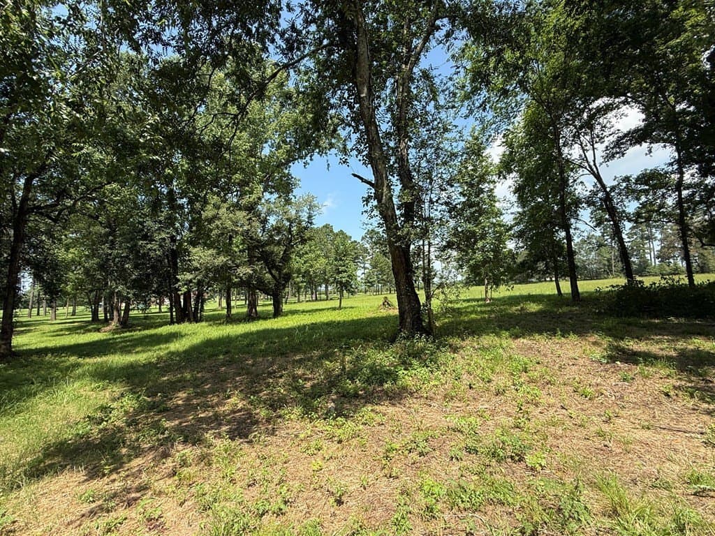 4.29 acres in Texas County - photo 7