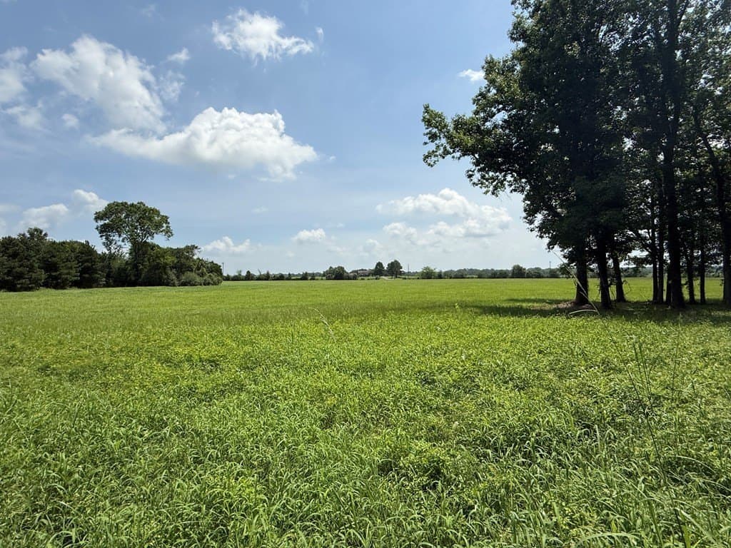 4.8 acres in Texas County gallery image 3