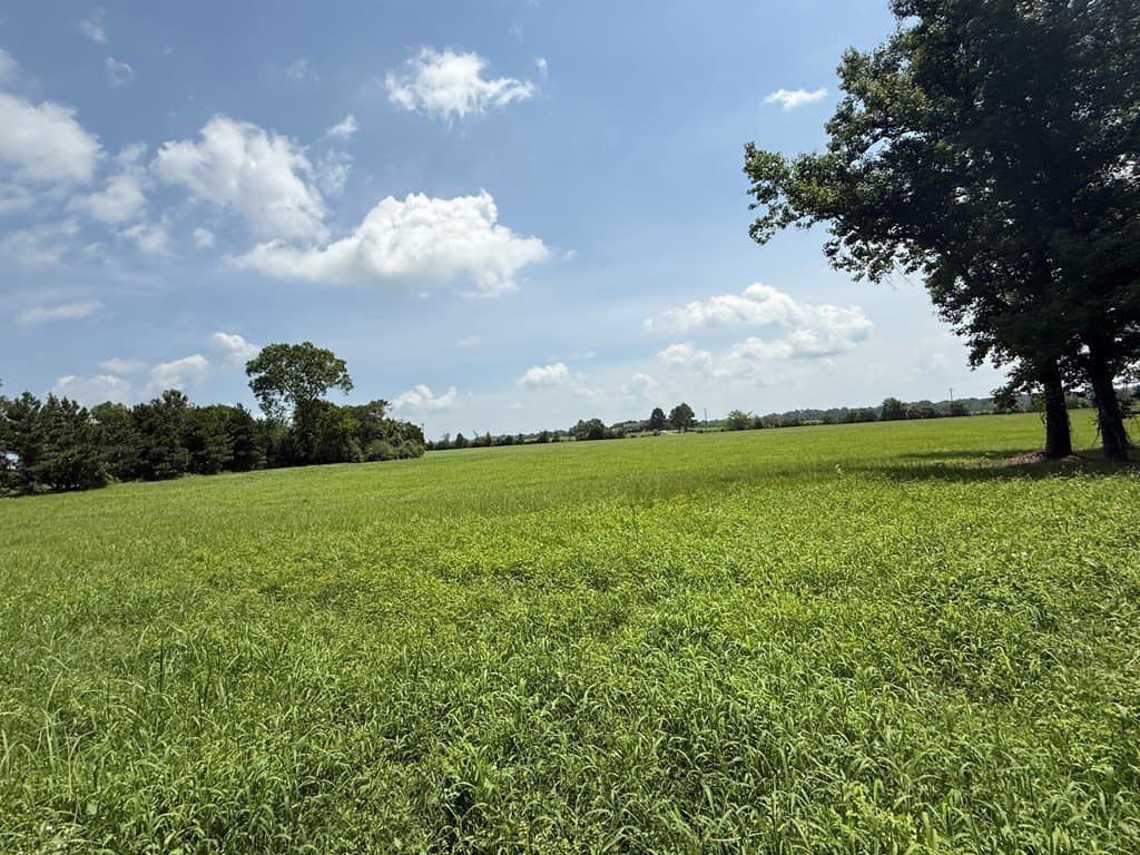 4.8 acres in Texas County gallery image 4