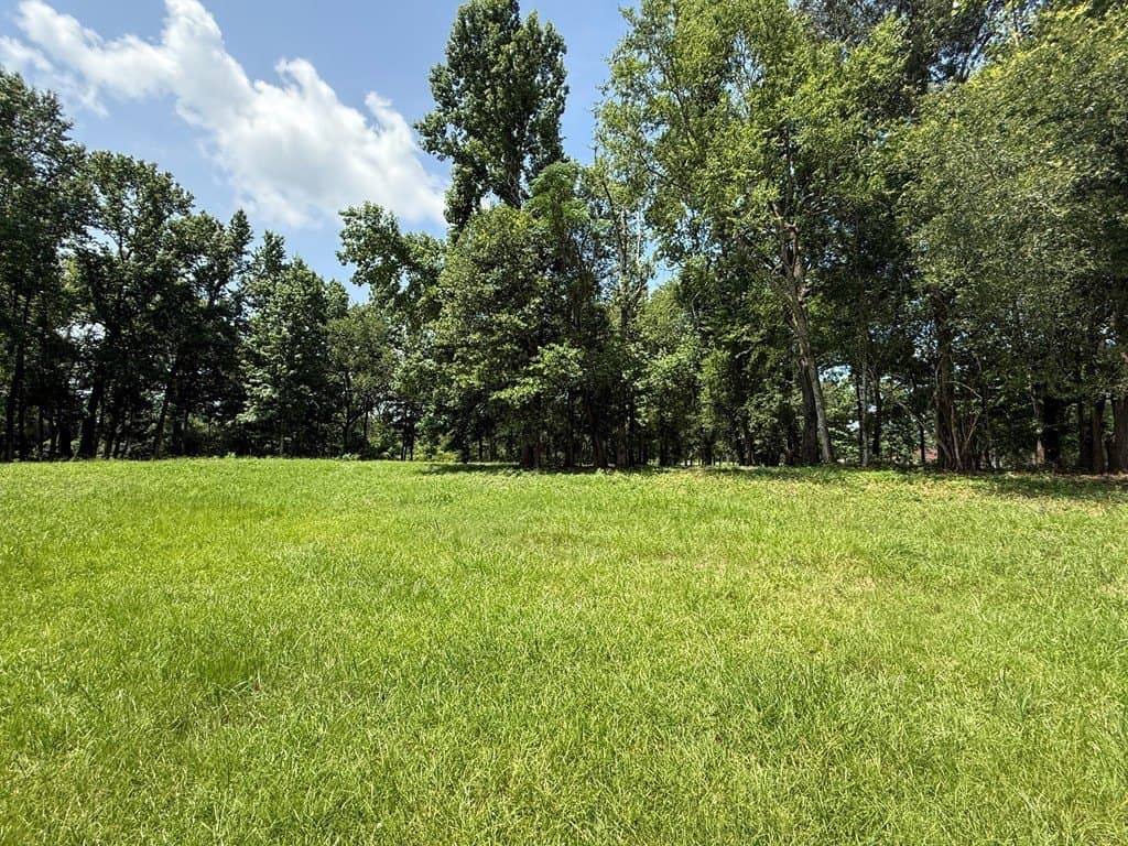 4.29 acres in Texas County - photo 6
