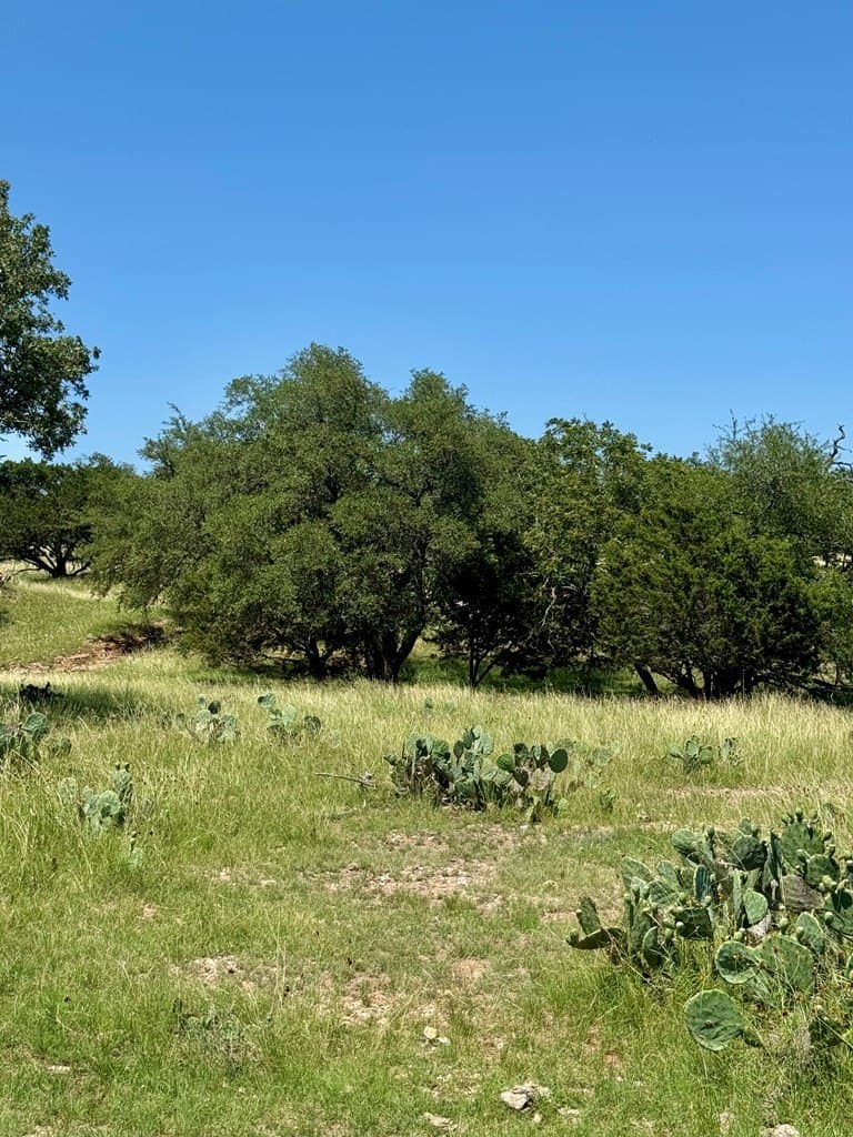 14.93 acres in Kendall County gallery image 4