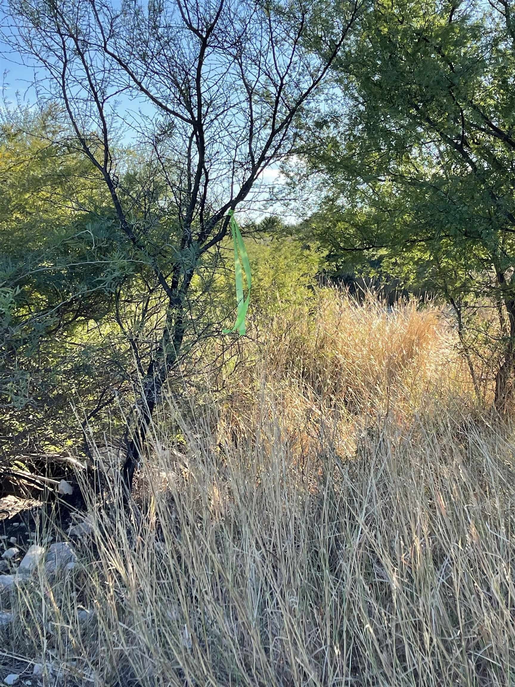 1.25 acres in Val Verde County featured view