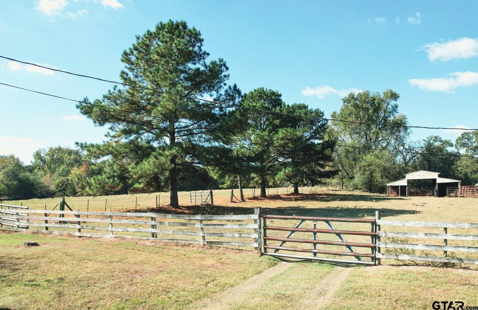 20.39 acres in Wood County - photo 31