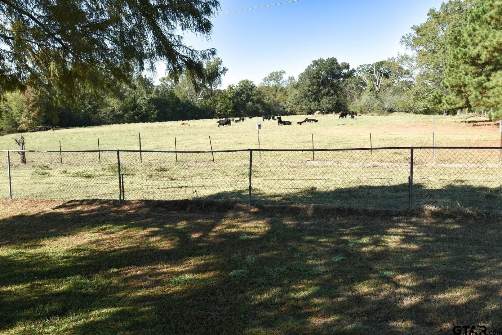 20.39 acres in Wood County - photo 33