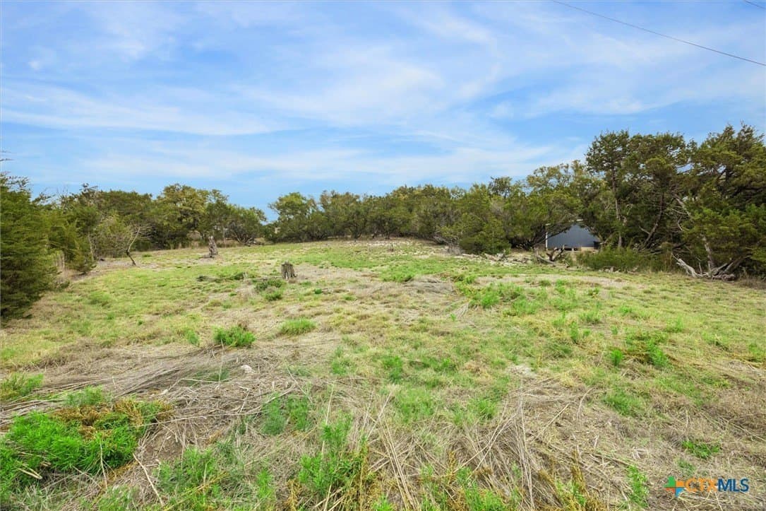 0.23 acres in Comal County gallery image 4
