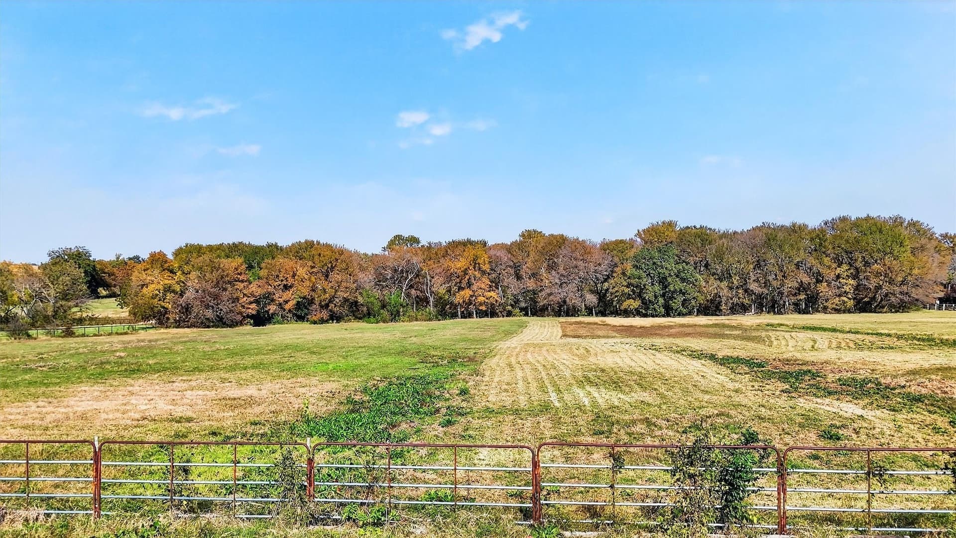 10 acres in Denton County - photo 19