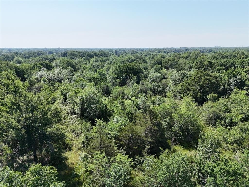 10 acres in Franklin (TX) County gallery image 2