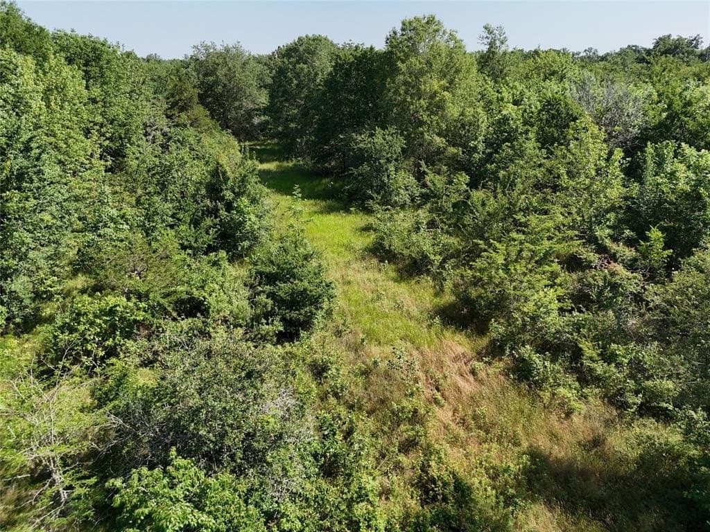 10 acres in Franklin (TX) County gallery image 4