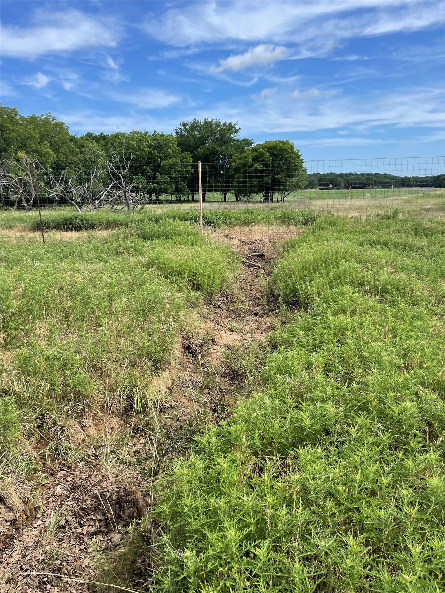 31.09 acres in Jack County featured view