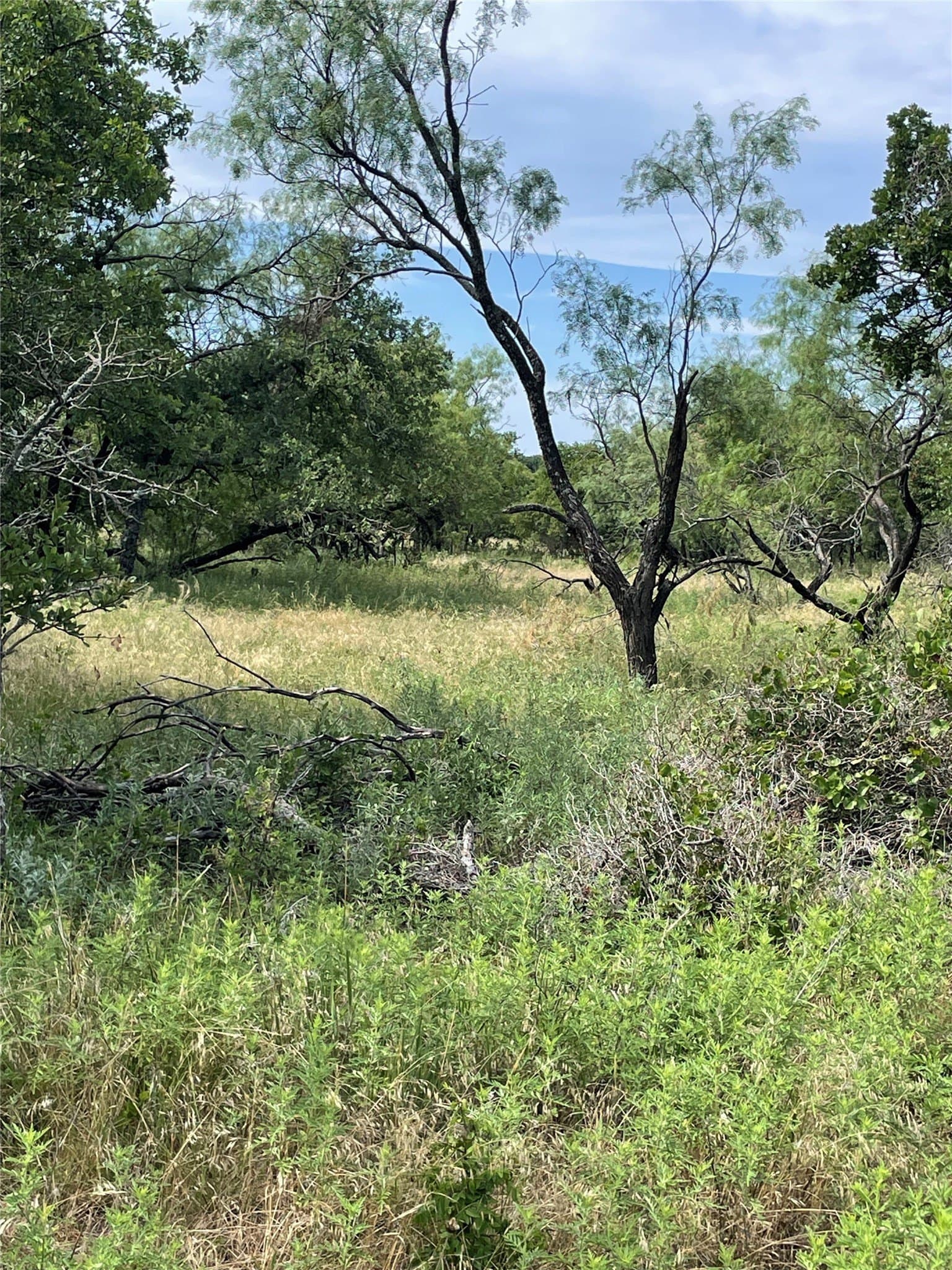 31.09 acres in Jack County - photo 15