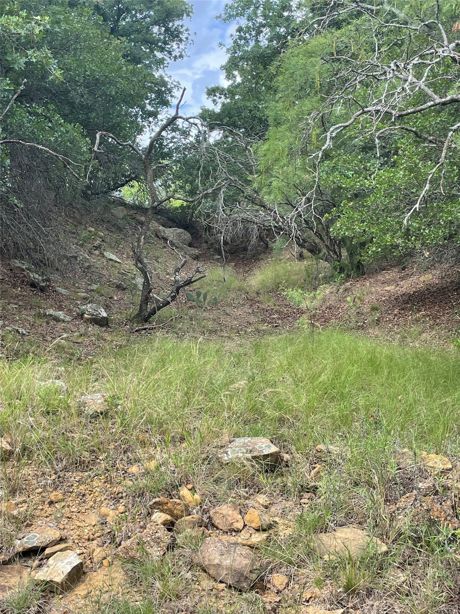 31.09 acres in Jack County - photo 29