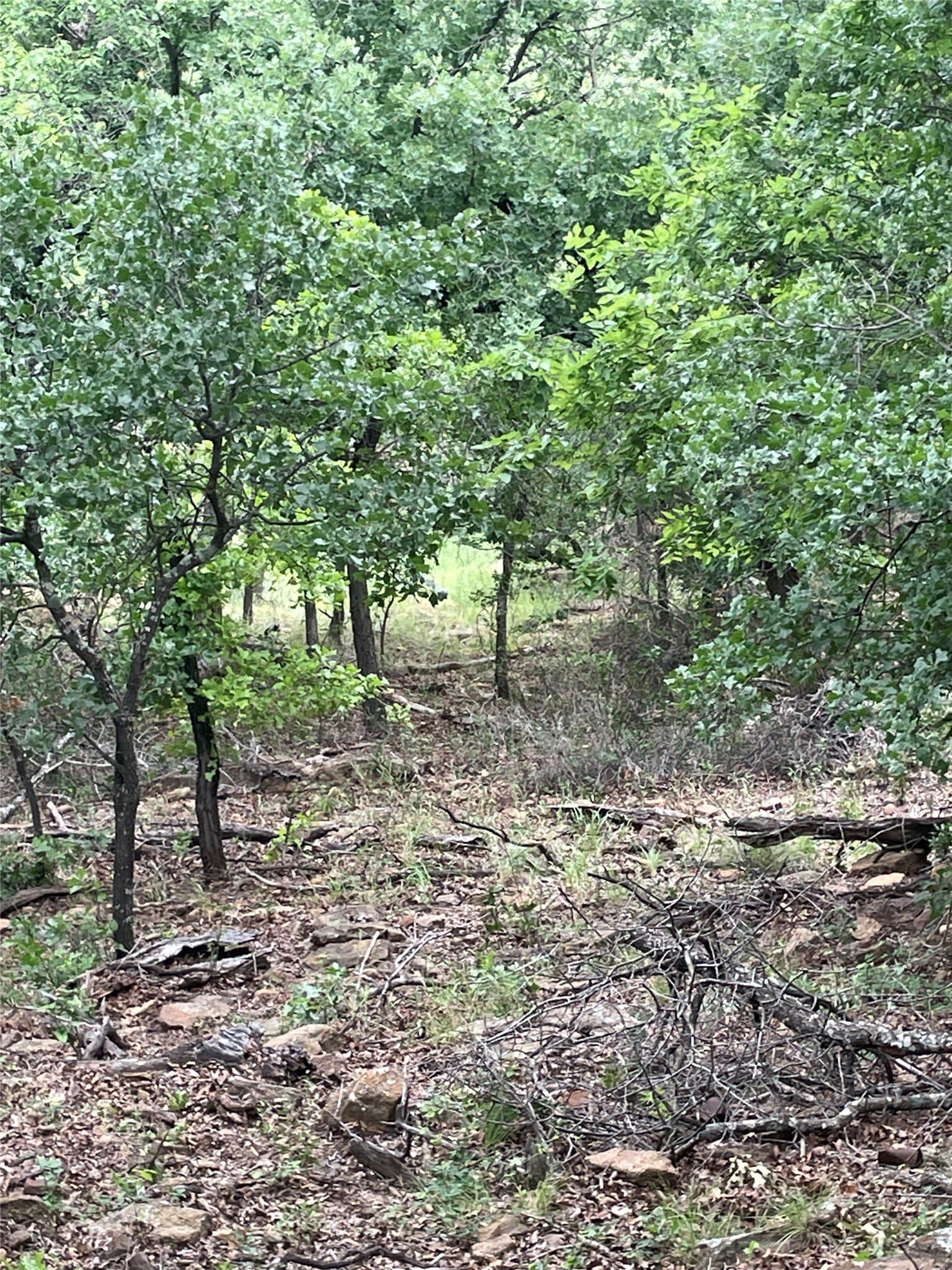 31.09 acres in Jack County - photo 20