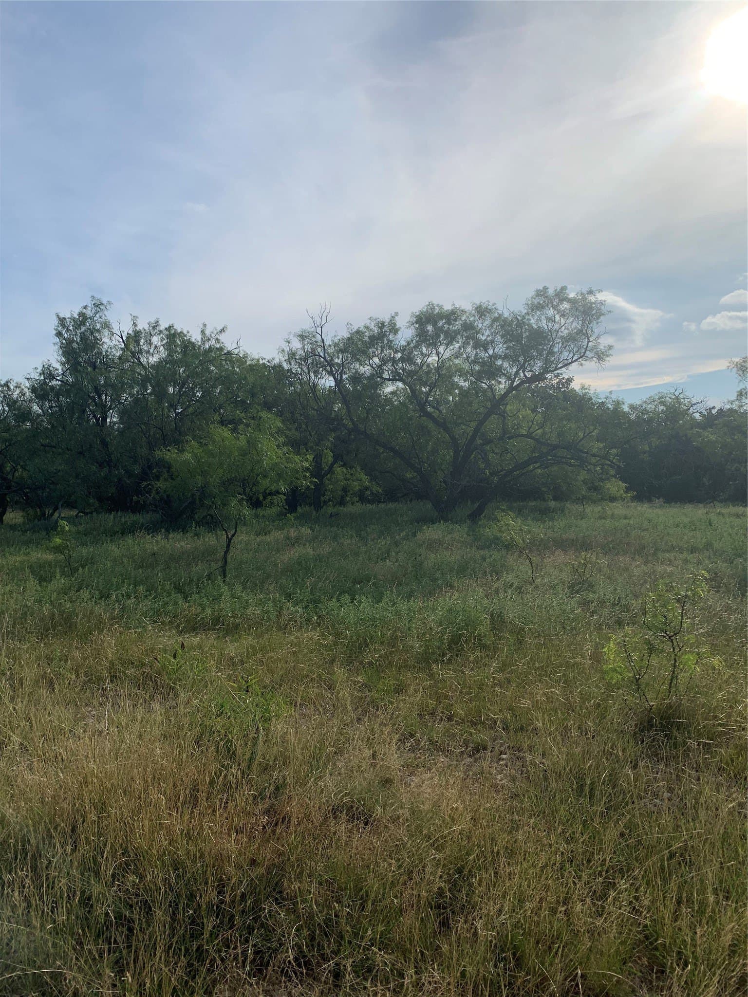 31.09 acres in Jack County - photo 31