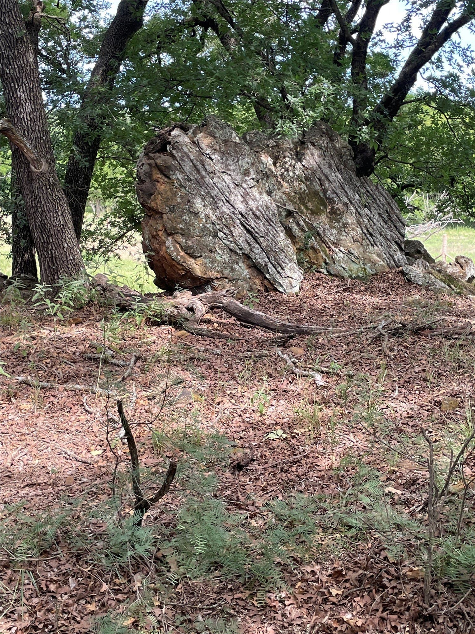 31.09 acres in Jack County - photo 11