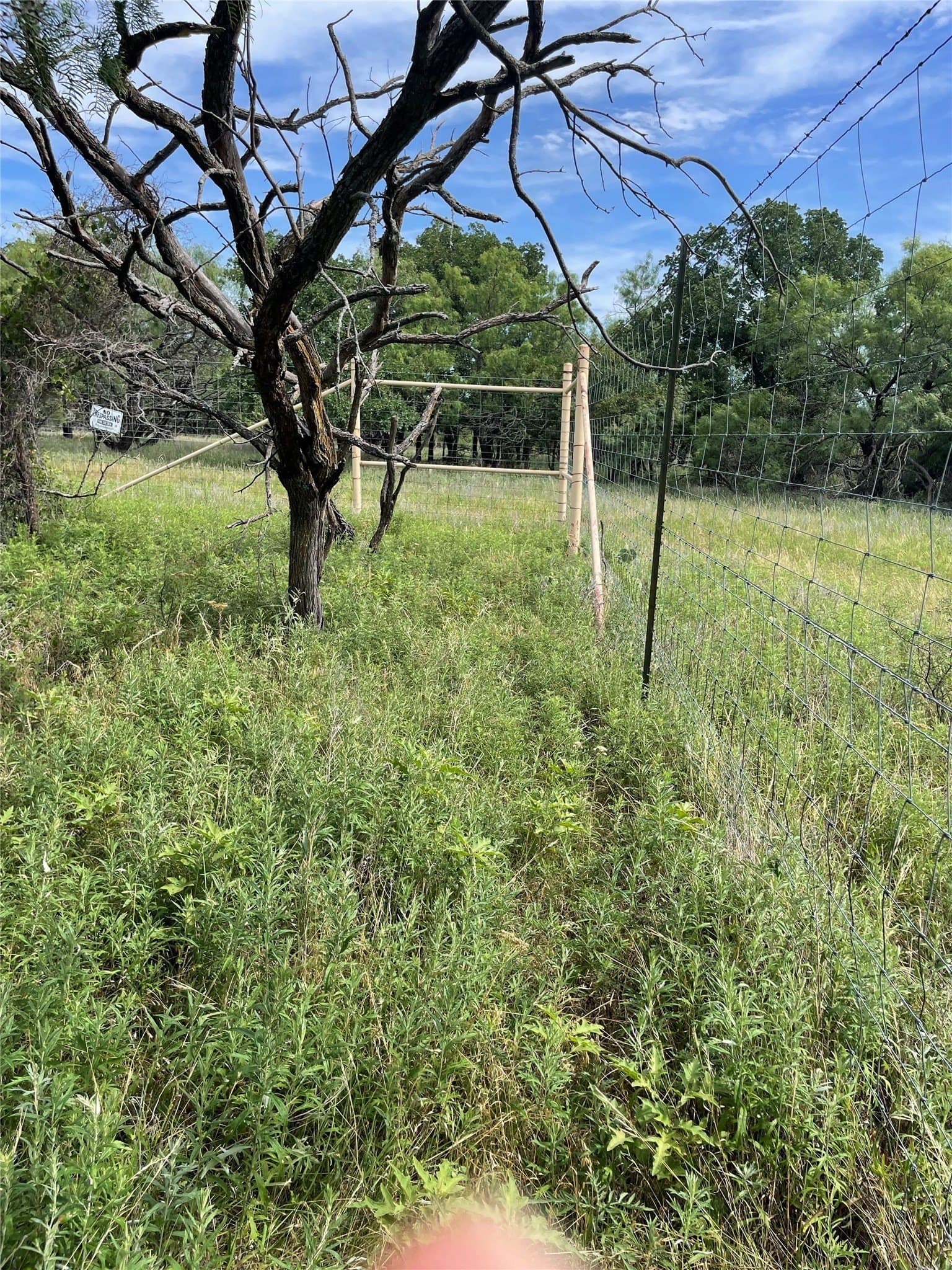 31.09 acres in Jack County - photo 19
