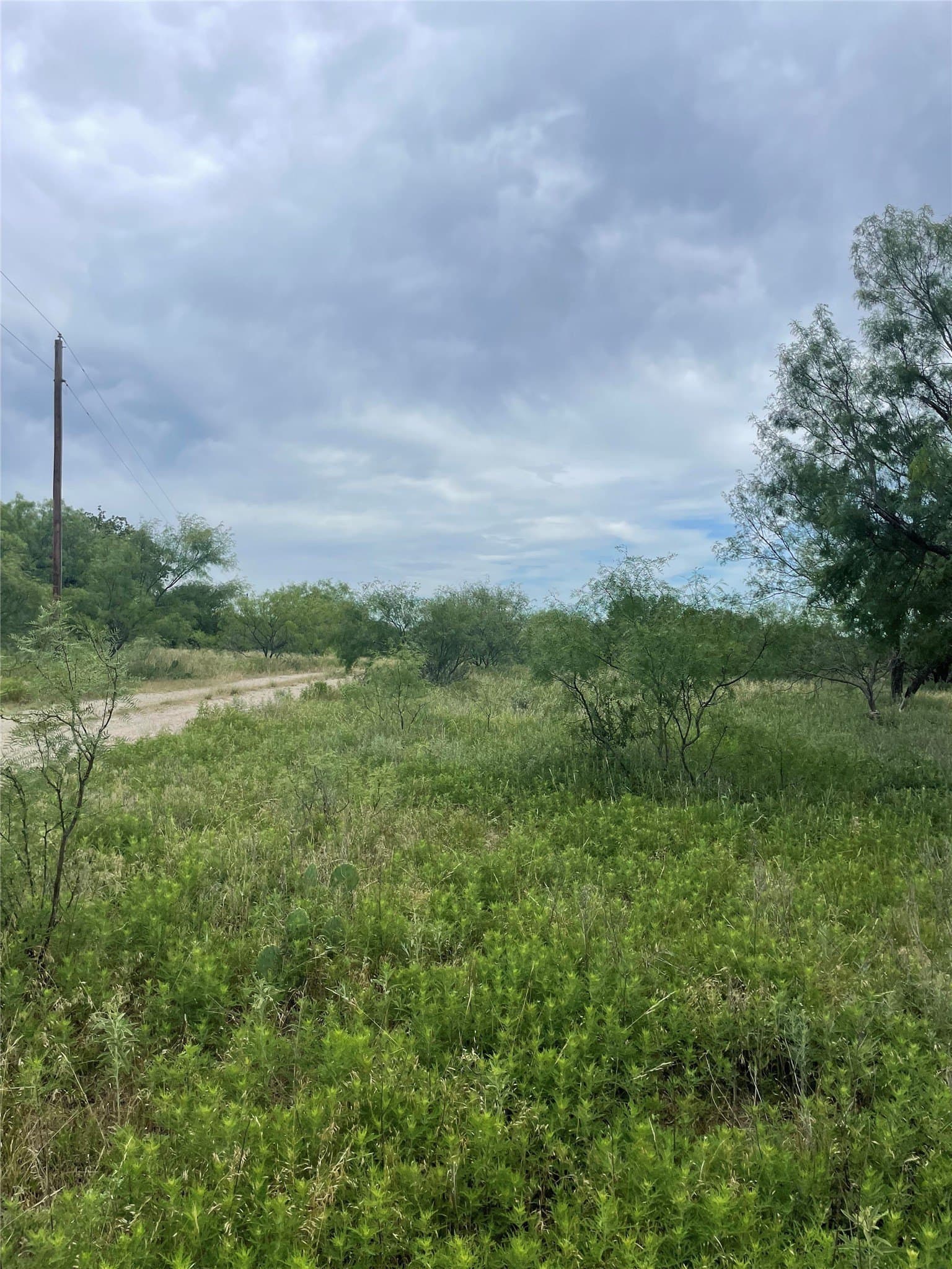 31.09 acres in Jack County - photo 26