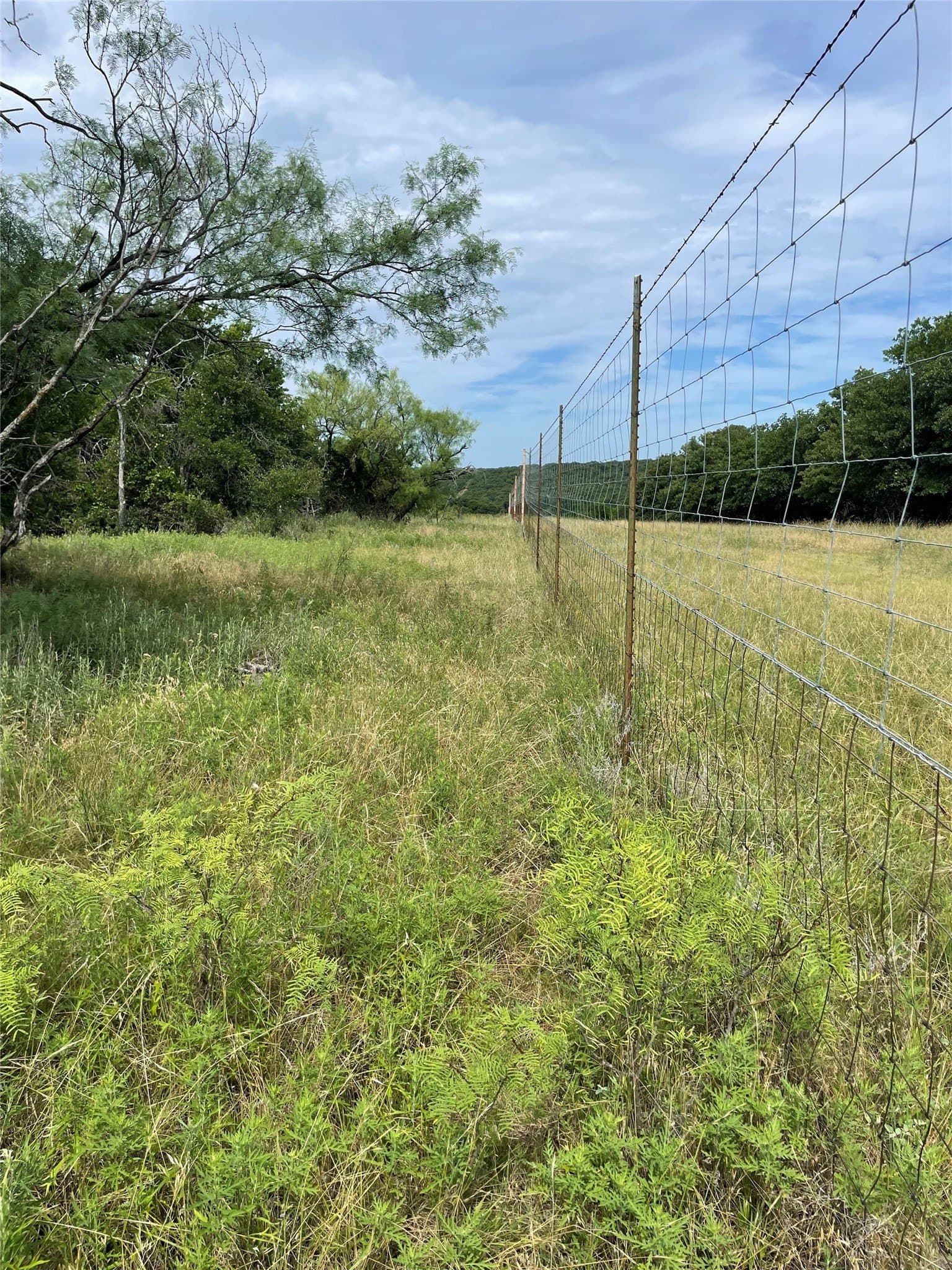 31.09 acres in Jack County - photo 18