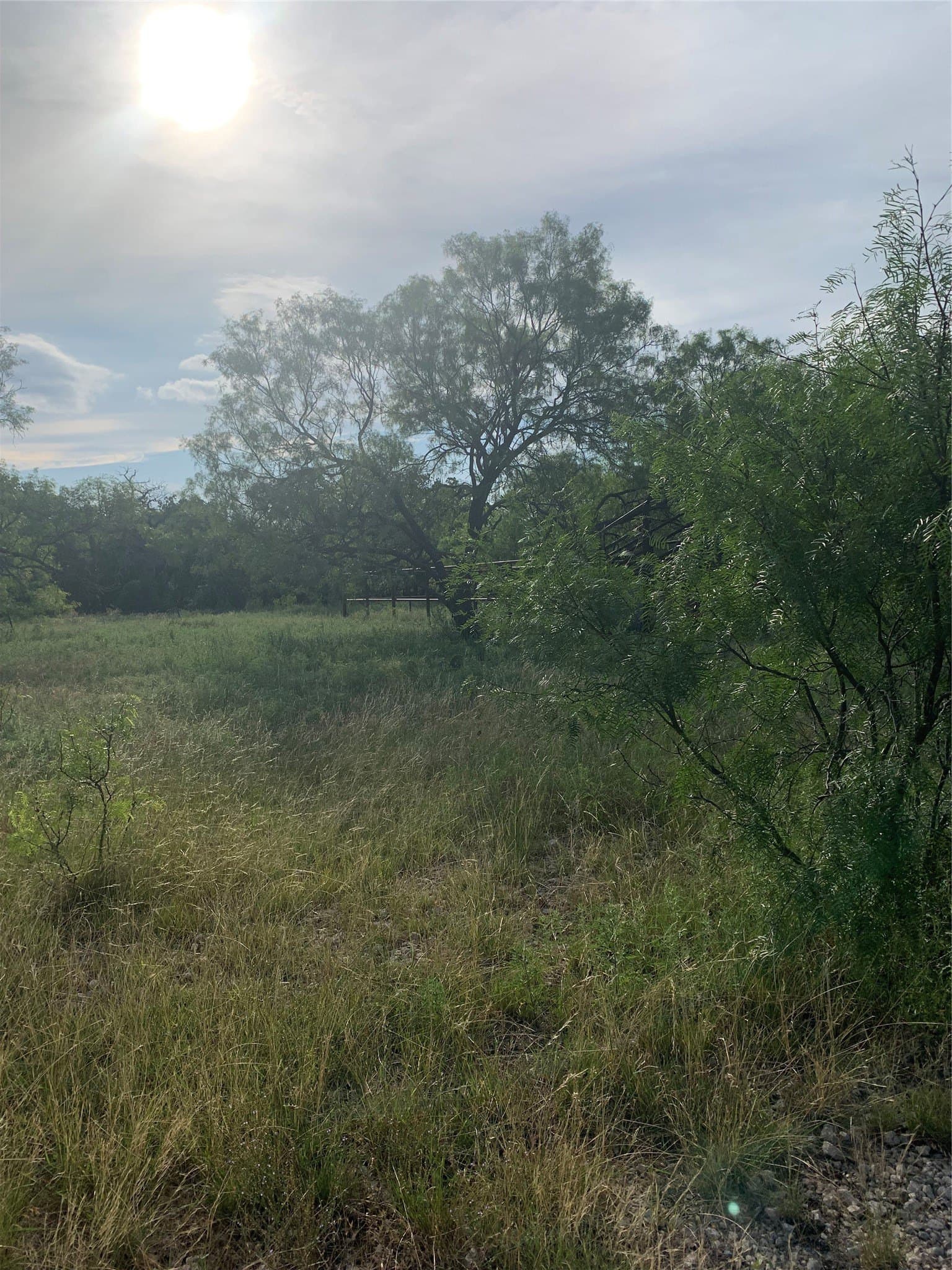 31.09 acres in Jack County - photo 32