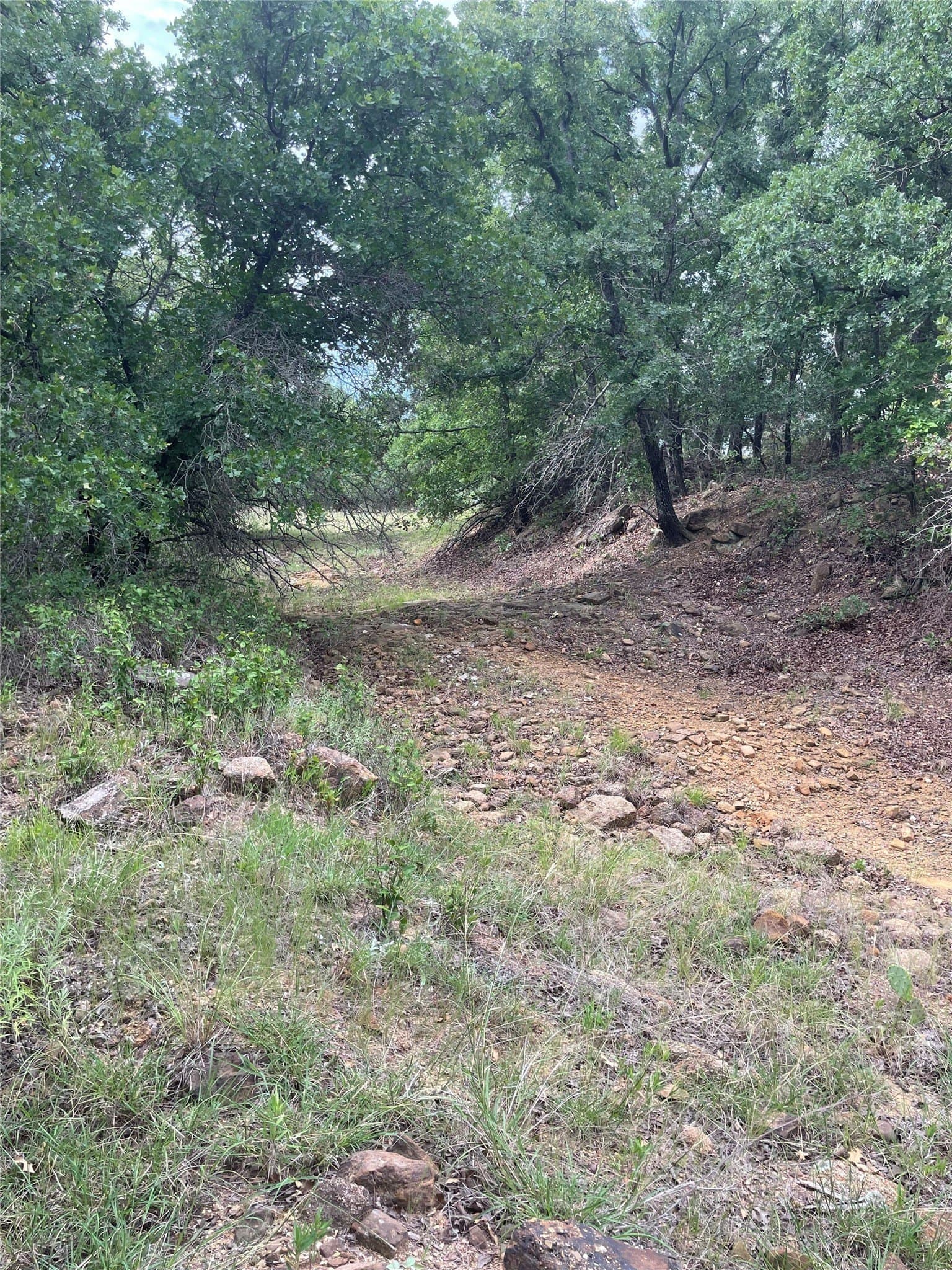 31.09 acres in Jack County - photo 30