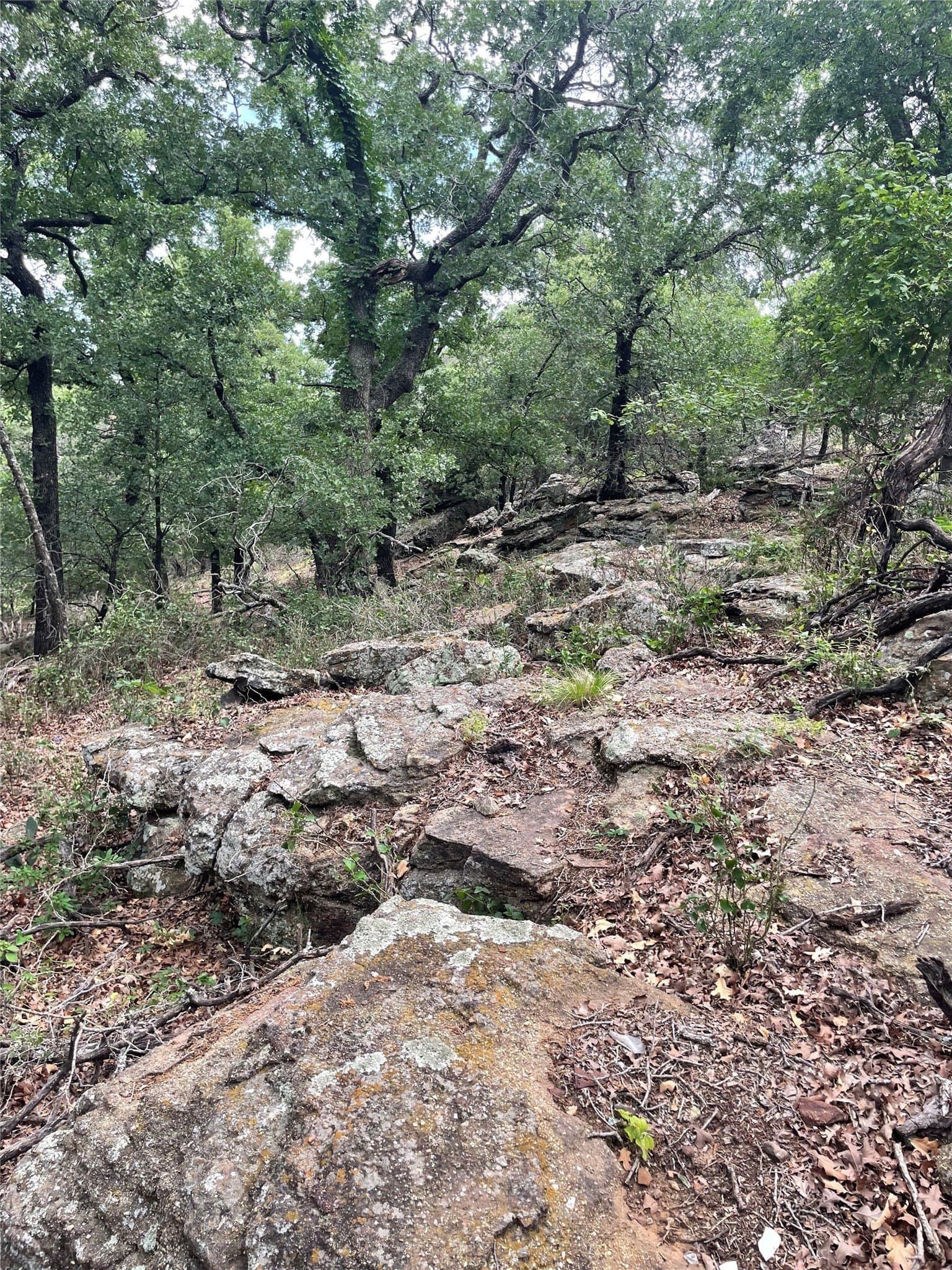 31.09 acres in Jack County - photo 22