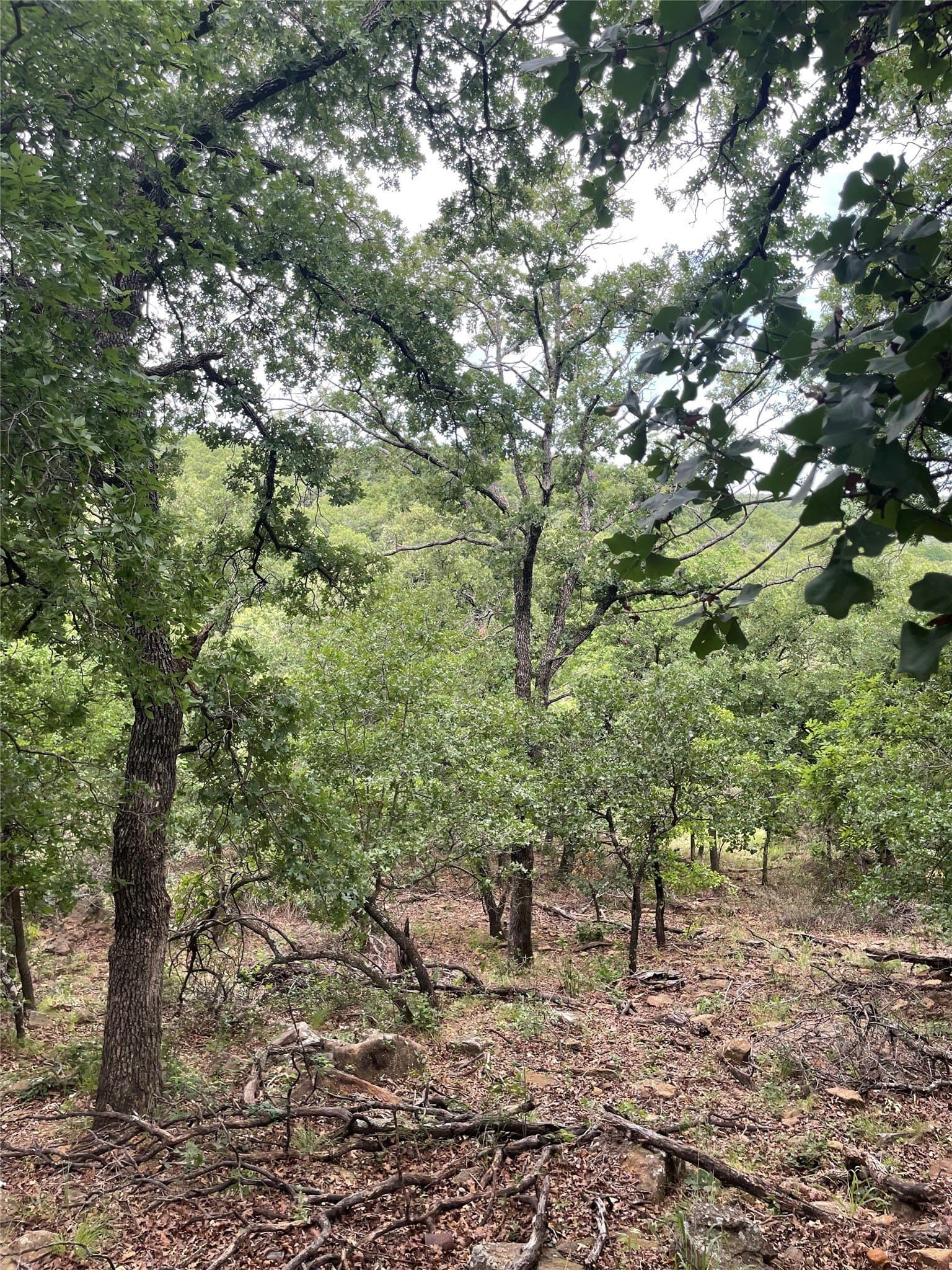 31.09 acres in Jack County - photo 24
