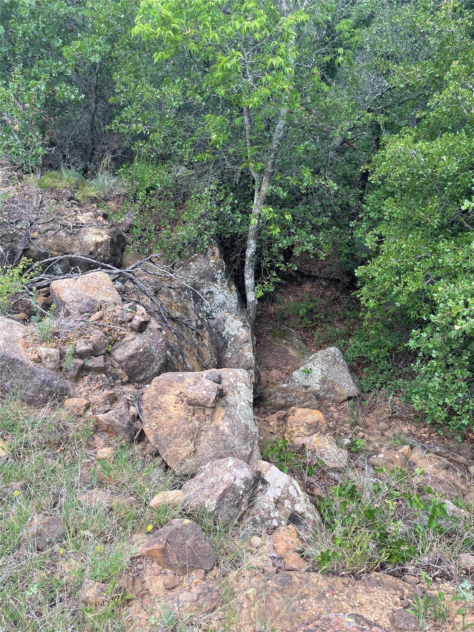 31.09 acres in Jack County - photo 28