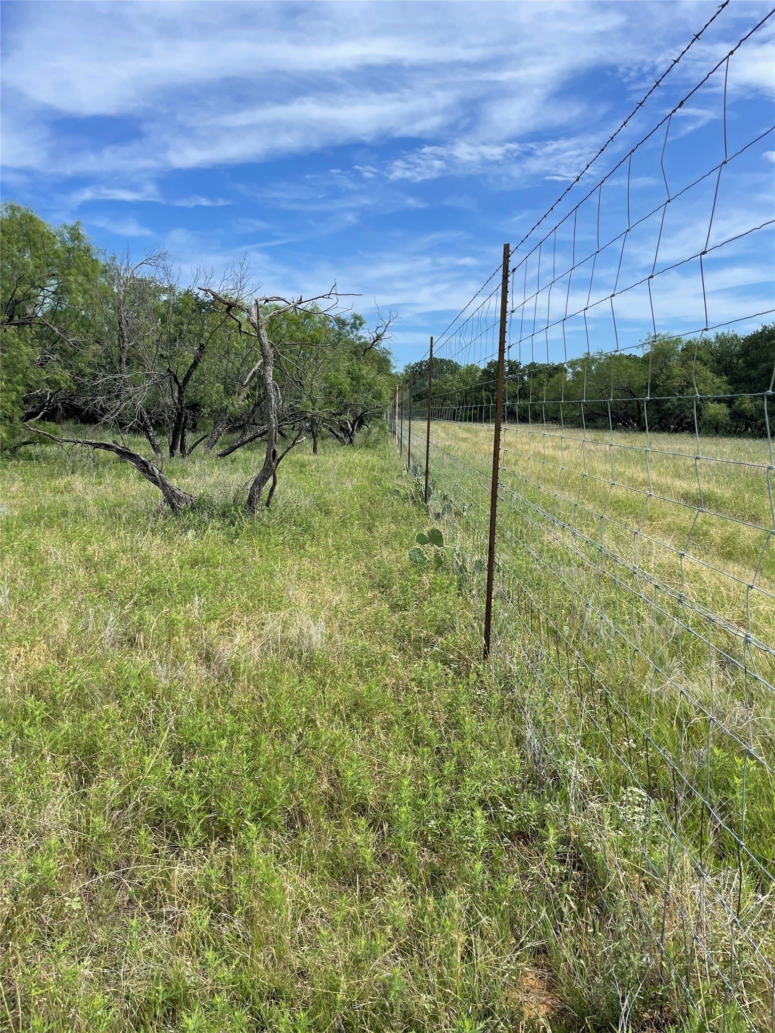 31.09 acres in Jack County - photo 17