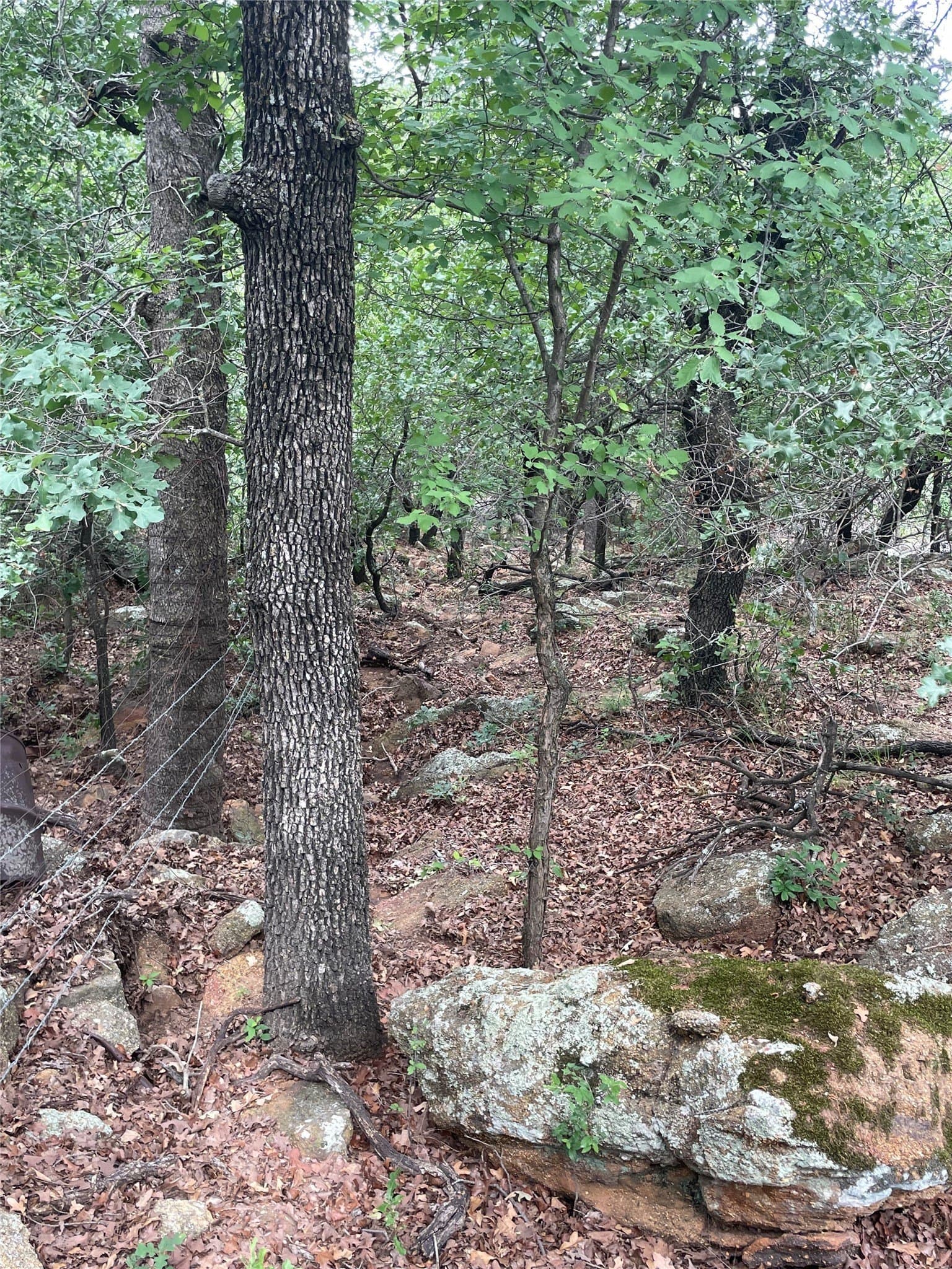 31.09 acres in Jack County - photo 27