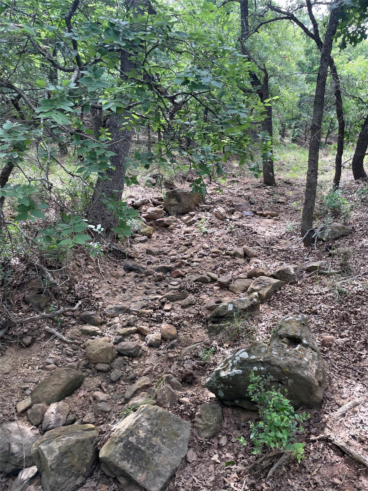 31.09 acres in Jack County - photo 7