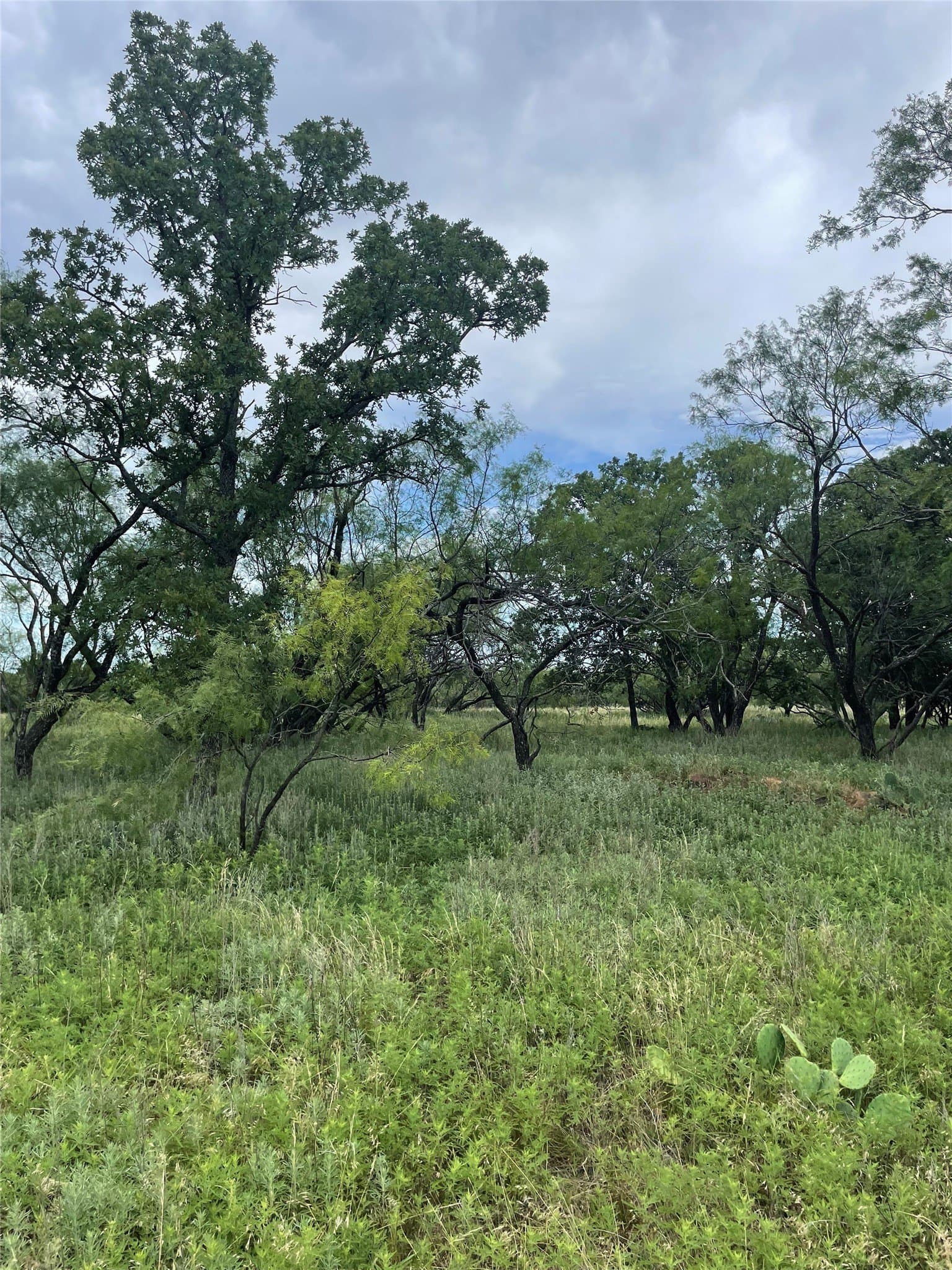 31.09 acres in Jack County - photo 25