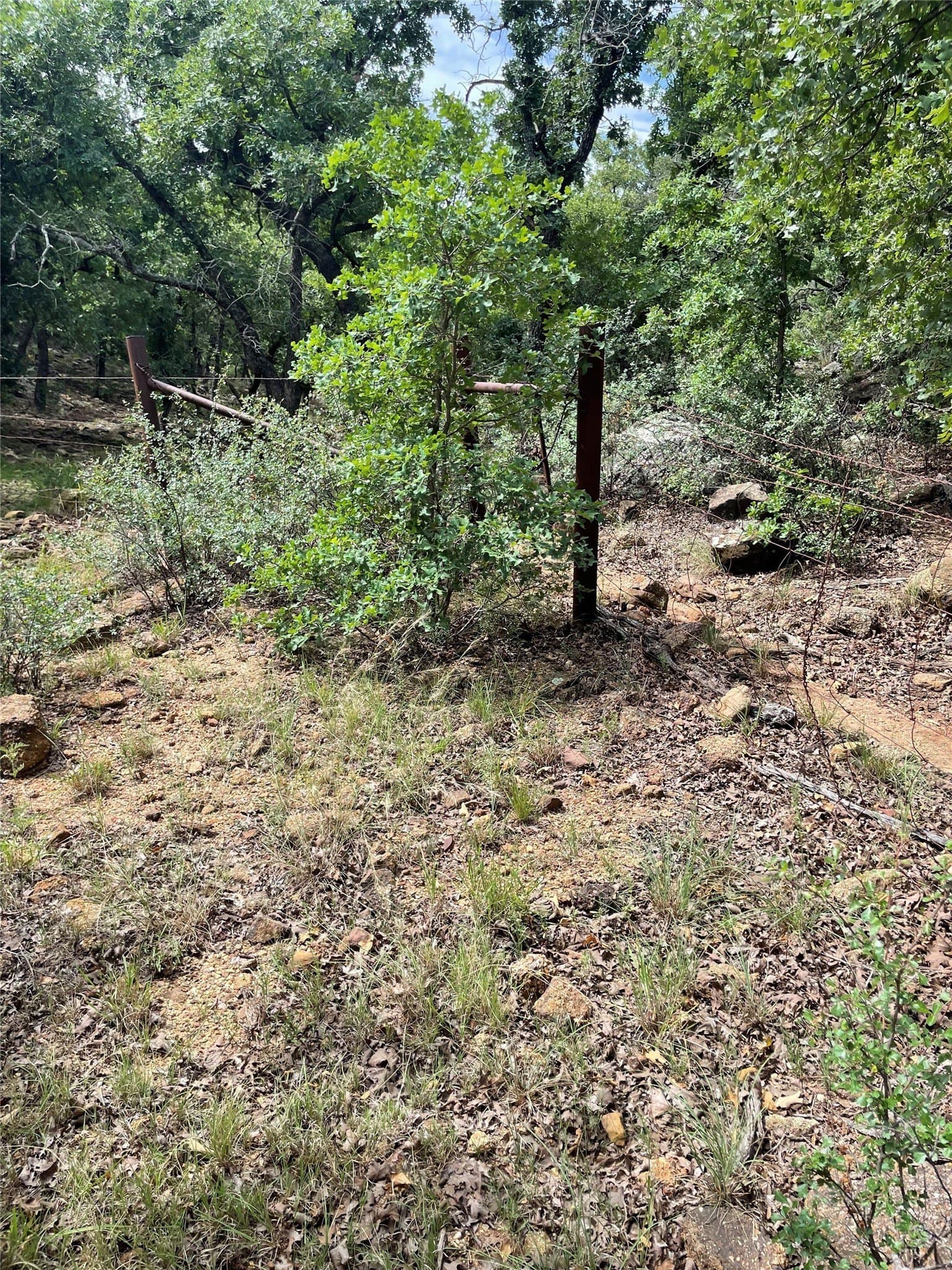 31.09 acres in Jack County gallery image 4