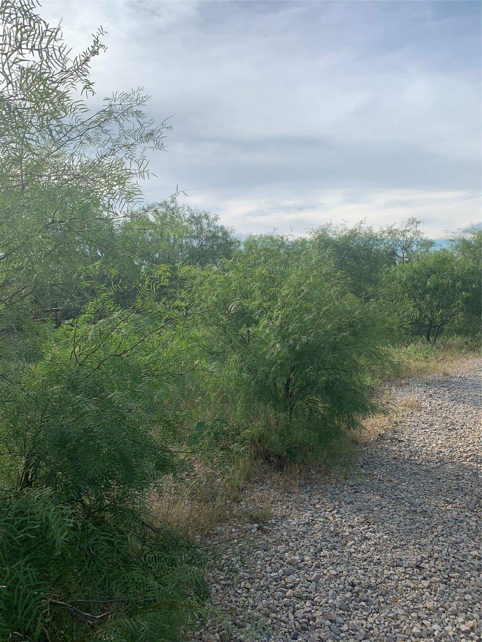 31.09 acres in Jack County - photo 34