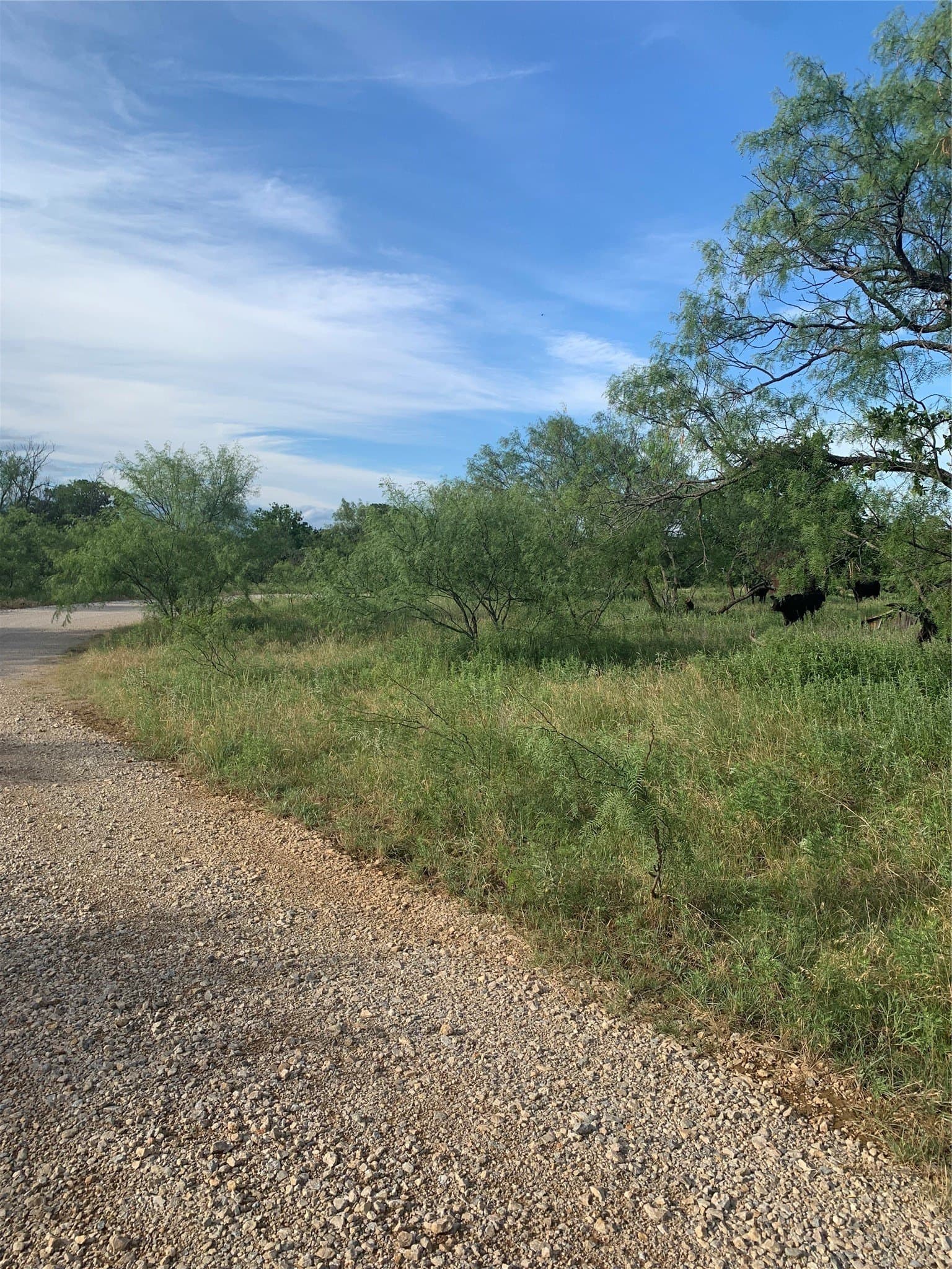 31.09 acres in Jack County - photo 33