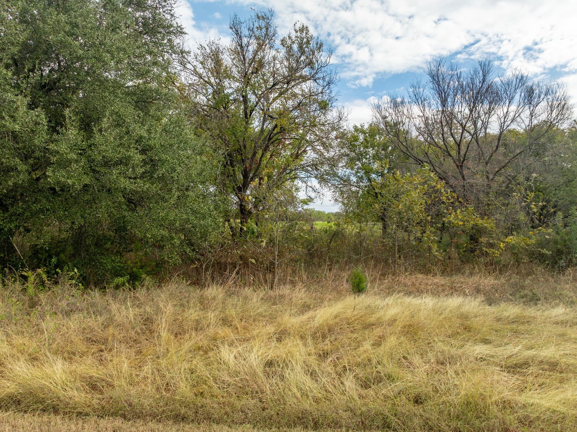 0.17 acres in Hill County - photo 4