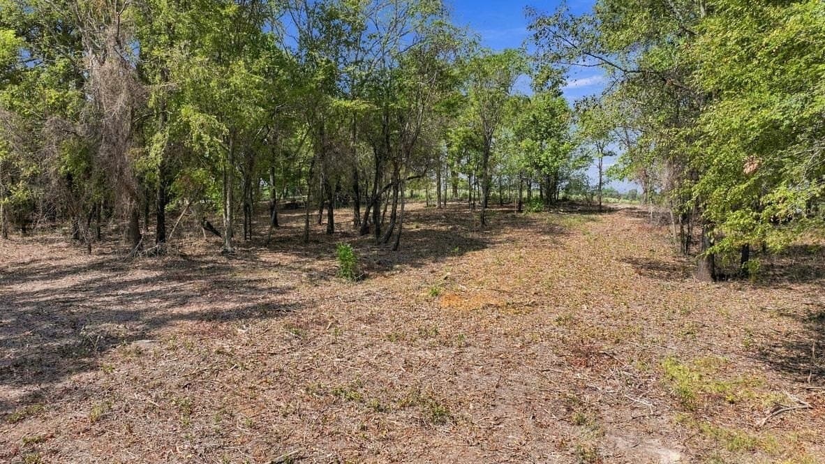 1.82 acres in Smith County - photo 4
