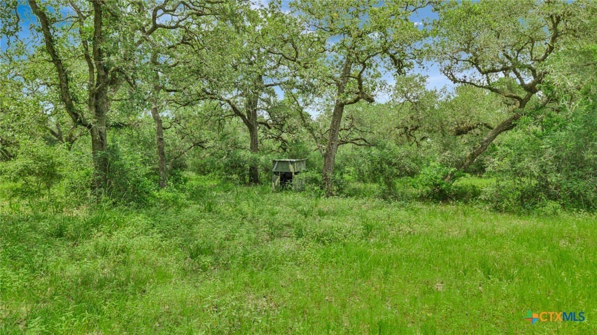 66.91 acres in Victoria County - photo 12
