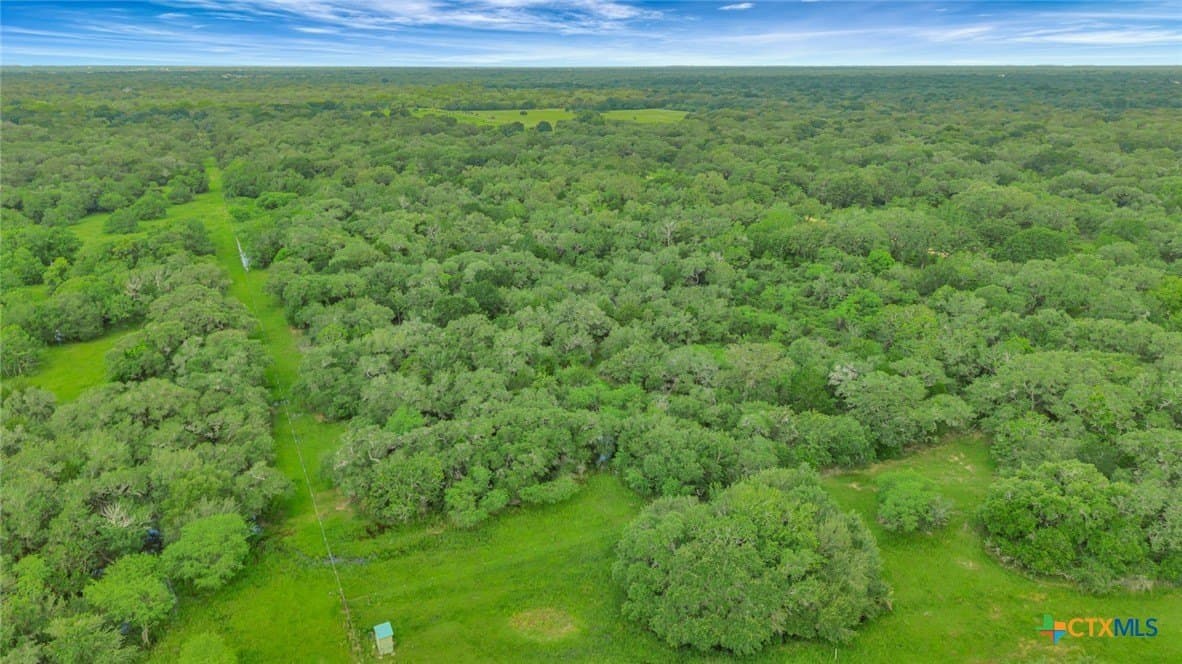 66.91 acres in Victoria County - photo 23