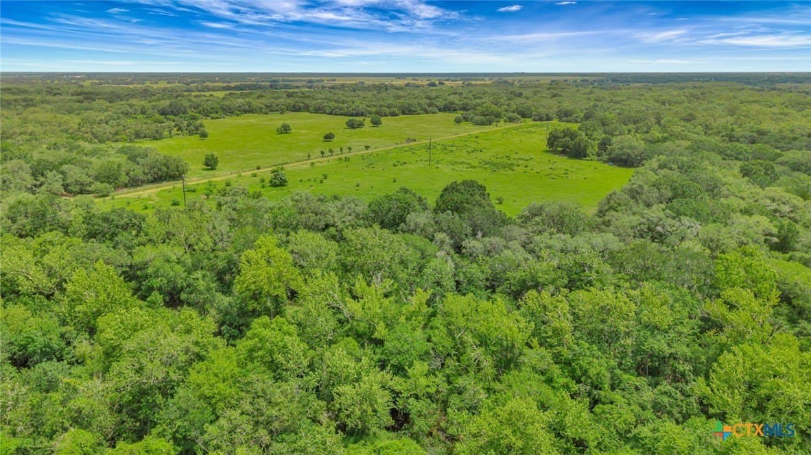 66.91 acres in Victoria County - photo 11