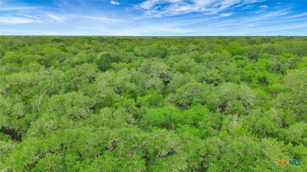 66.91 acres in Victoria County - photo 14