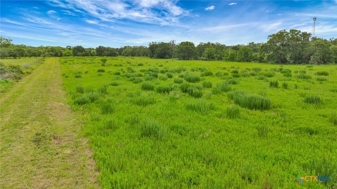66.91 acres in Victoria County - photo 16