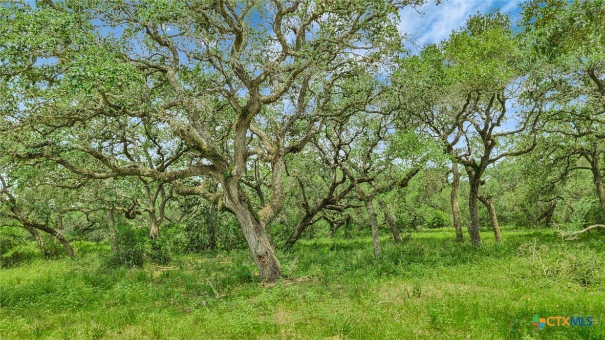 66.91 acres in Victoria County - photo 7