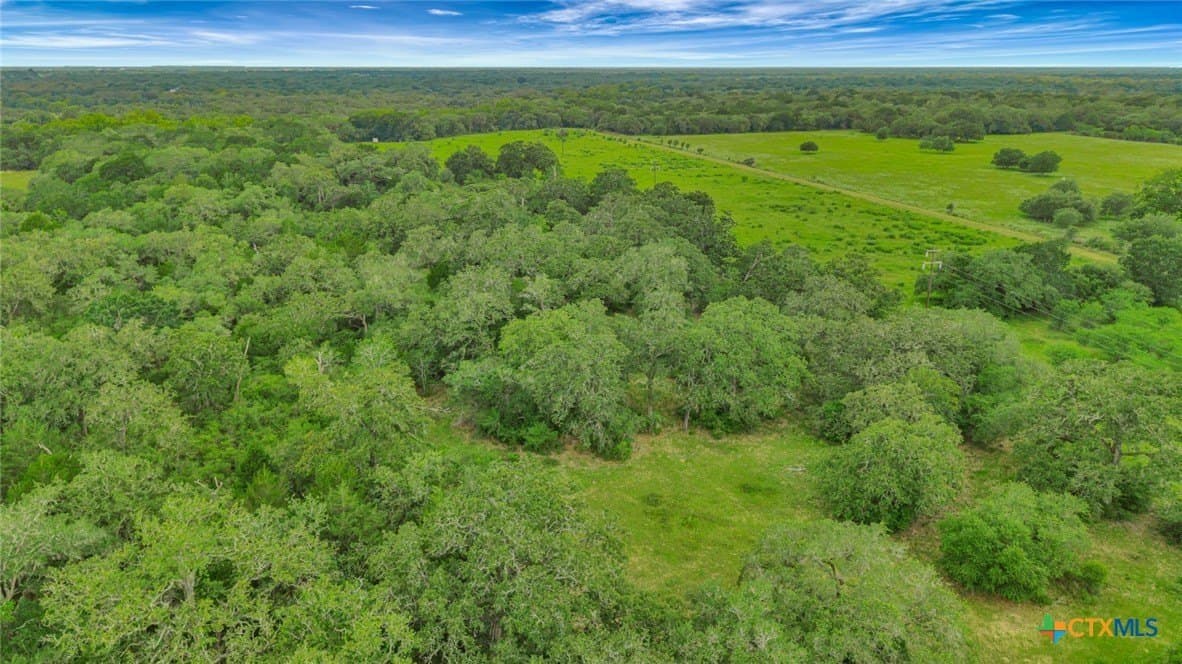 66.91 acres in Victoria County - photo 18