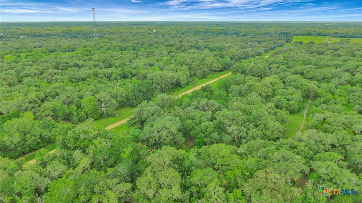 66.91 acres in Victoria County - photo 22