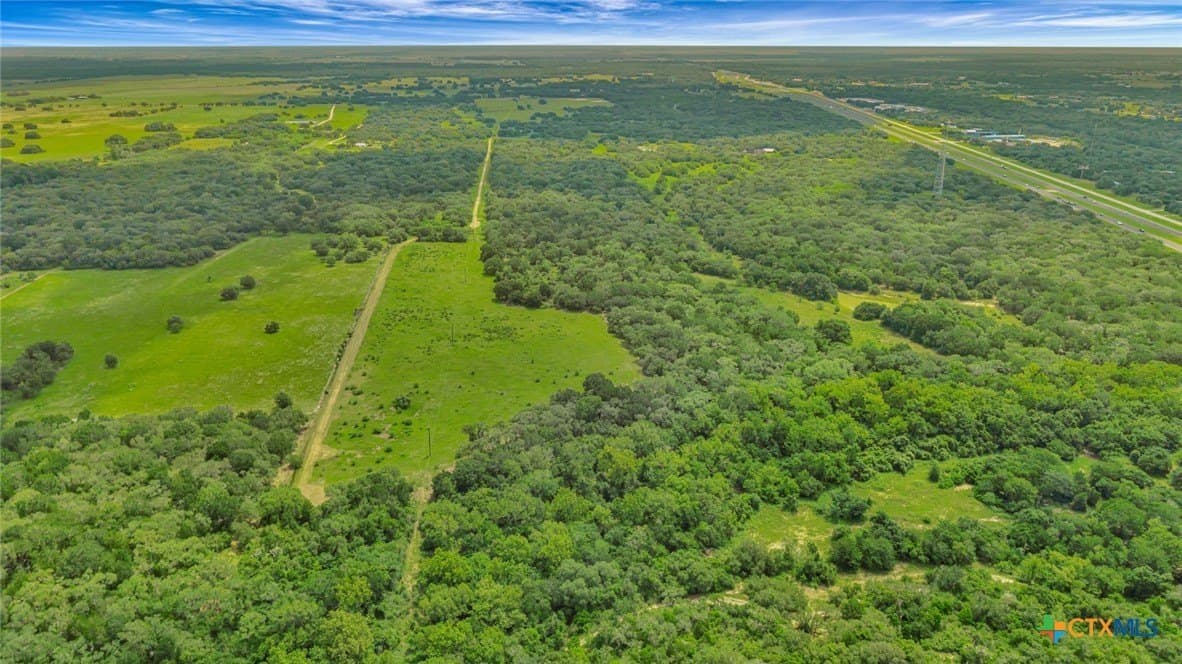 66.91 acres in Victoria County gallery image 3