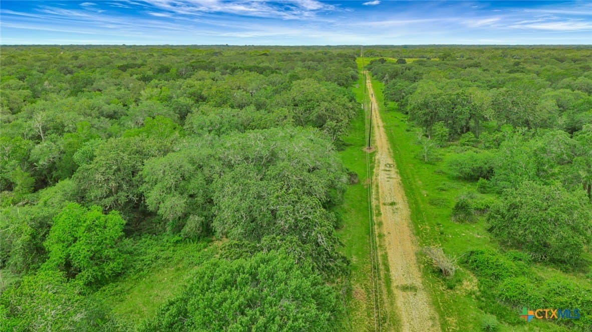 66.91 acres in Victoria County gallery image 4