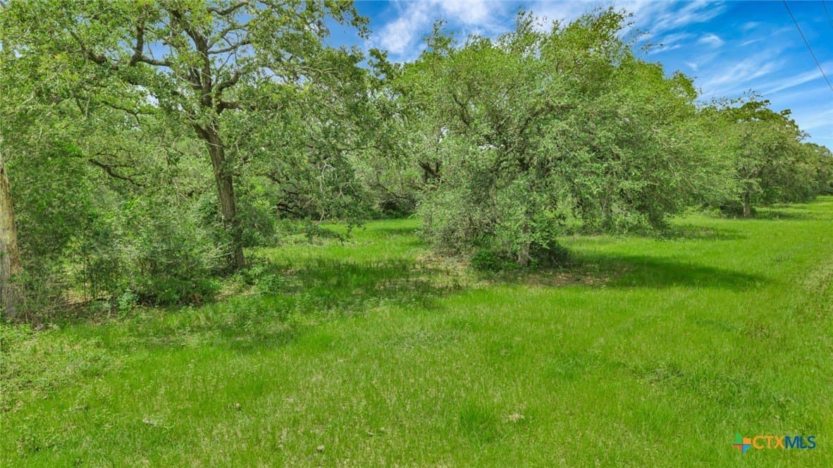 66.91 acres in Victoria County - photo 9