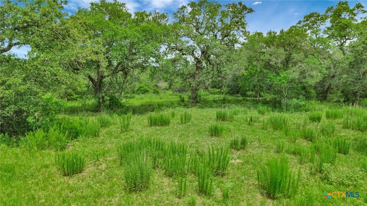 66.91 acres in Victoria County featured view
