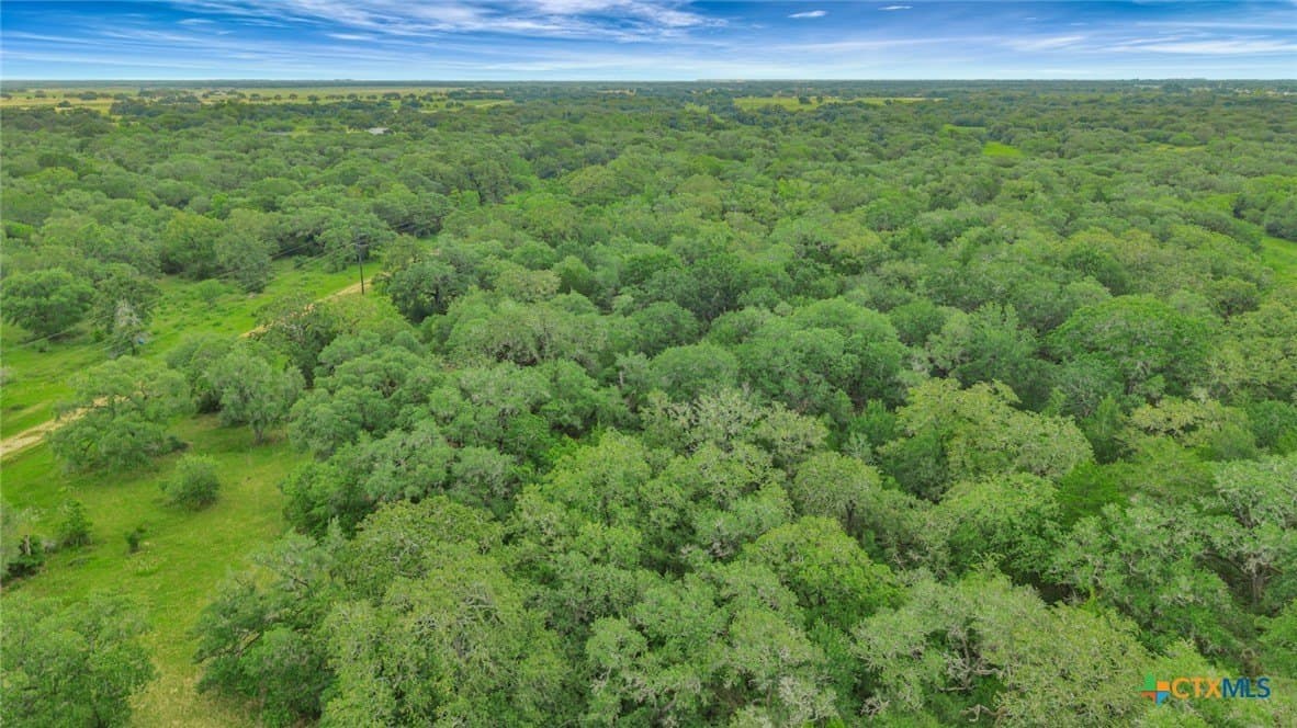 66.91 acres in Victoria County - photo 19