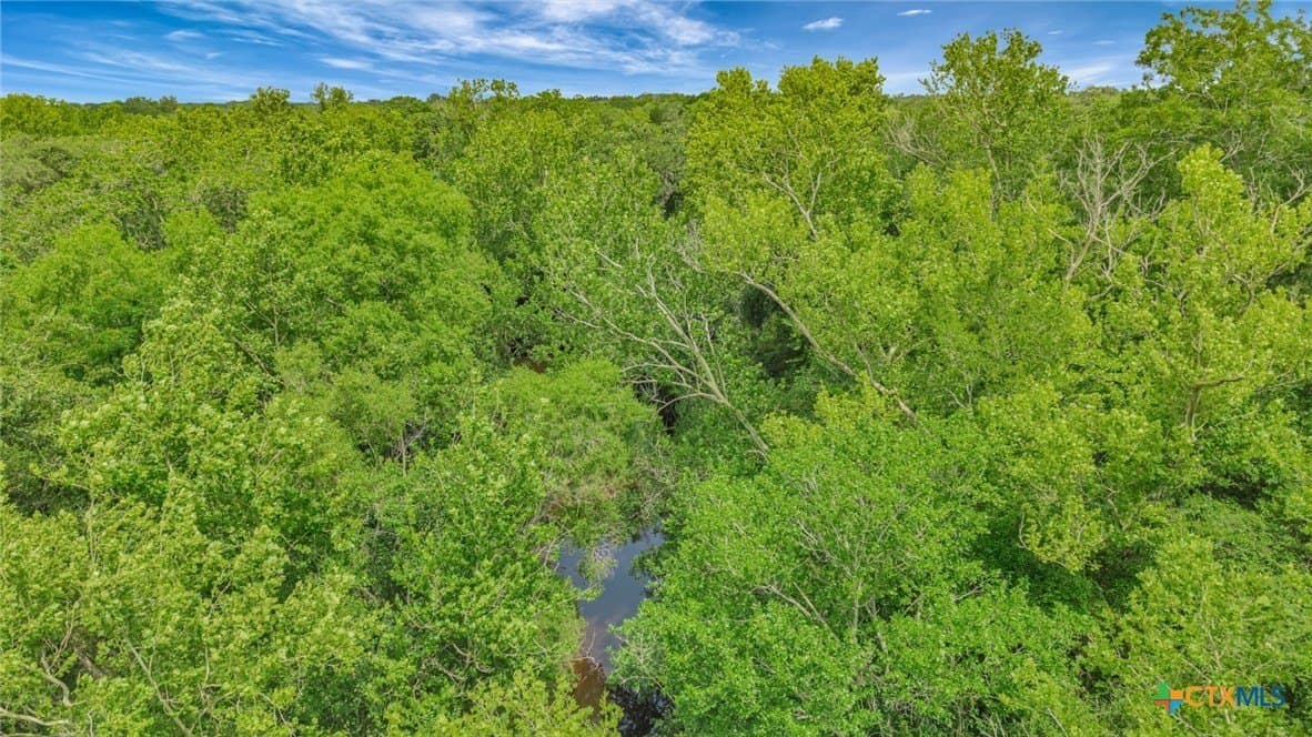 66.91 acres in Victoria County - photo 13