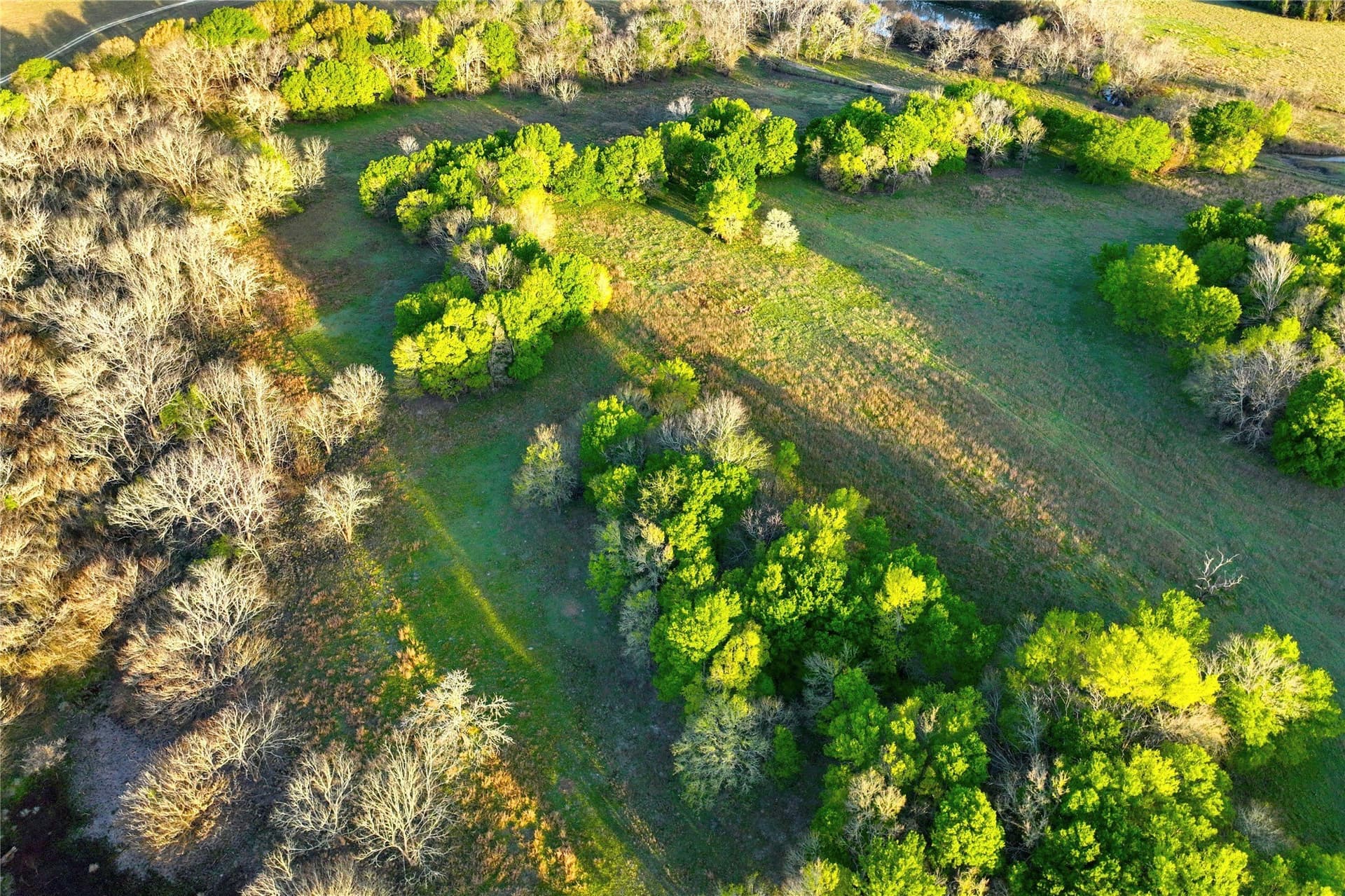 10 acres in Leon County - photo 11
